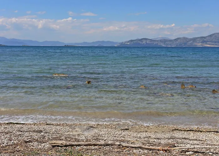 By The Sea Drace, Peljesac - 10135