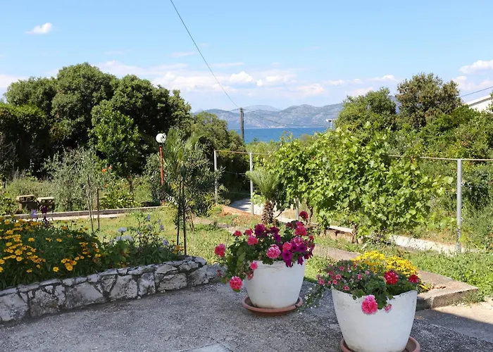 By The Sea Drace, Peljesac - 10135 *